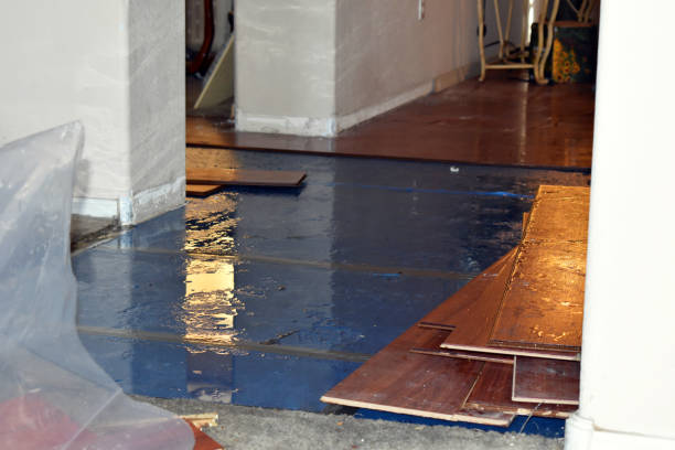 Professional Water Damage Restoration technician working in Starbuck, WA